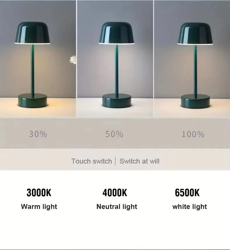 Red Modern Minimalist LED Table Lamp